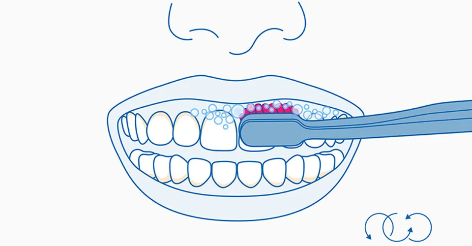 como-cepillarse-los-dientes-curaprox